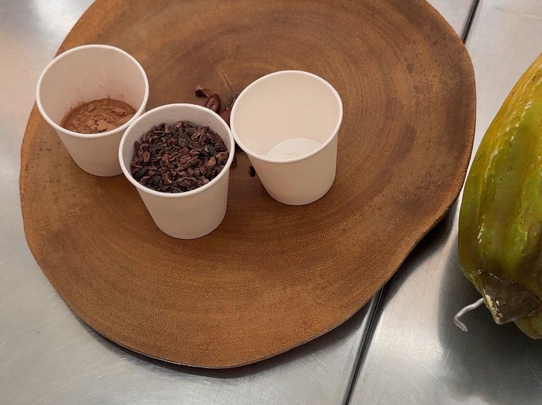 Kahkow Experience-圣多明哥必去景点