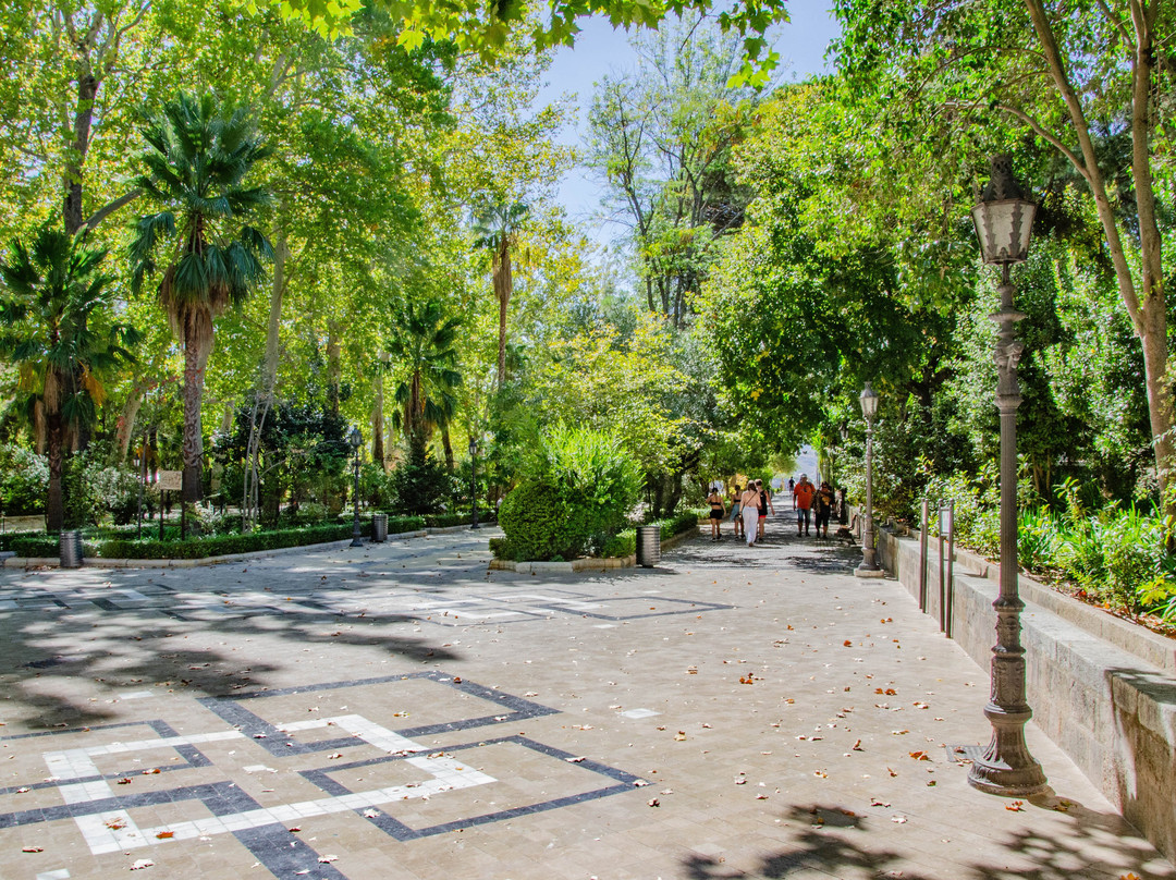 塔霍林荫散步小道景点图片