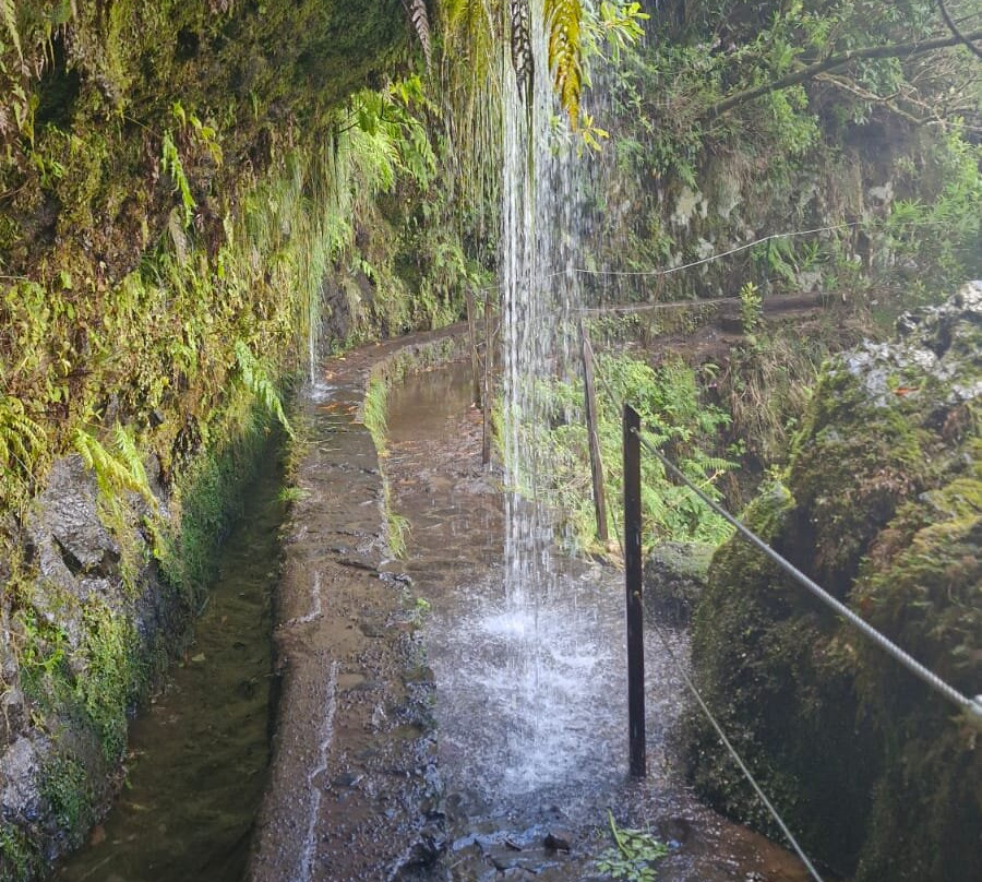 Levada Do Caldeirao Verde-Santana必去景点