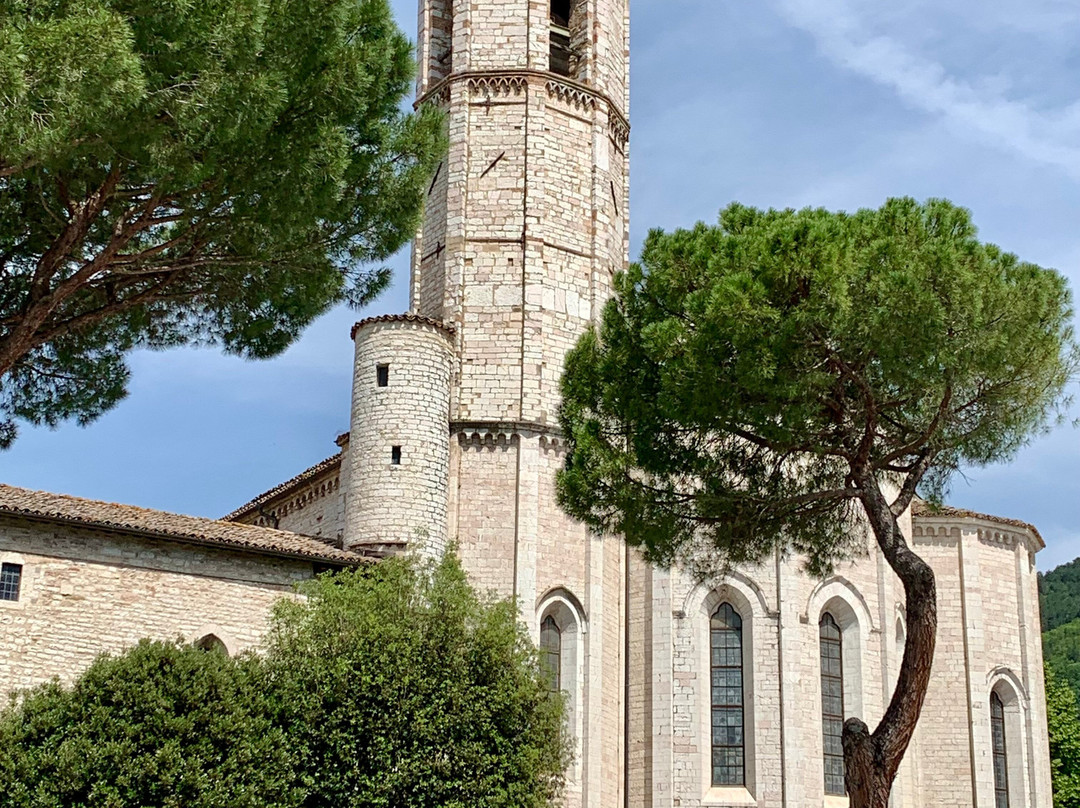 Chiesa di San Francesco-古比奥必去景点