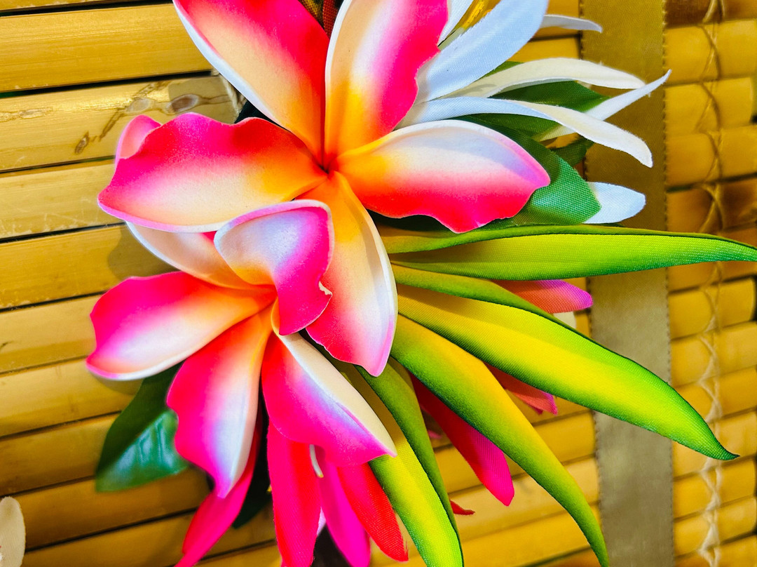 Naupaka Island Designs-希洛必去景点