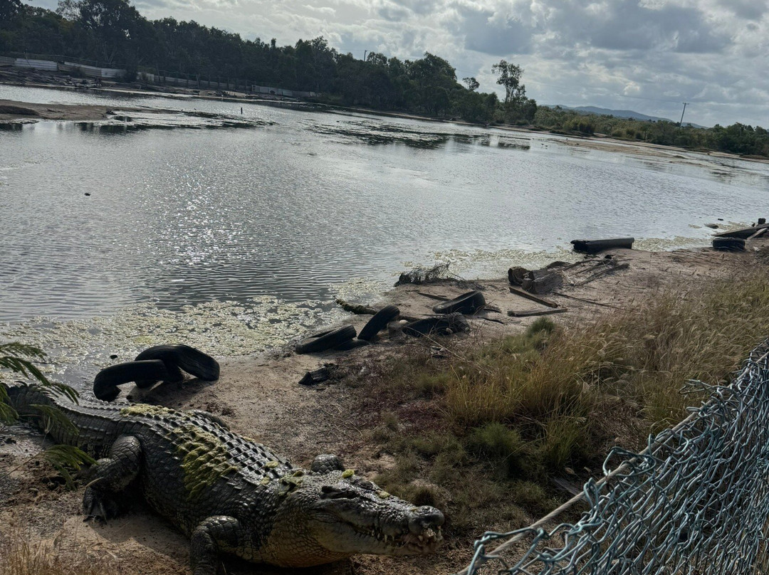 Koorana Crocodile Farm景点图片