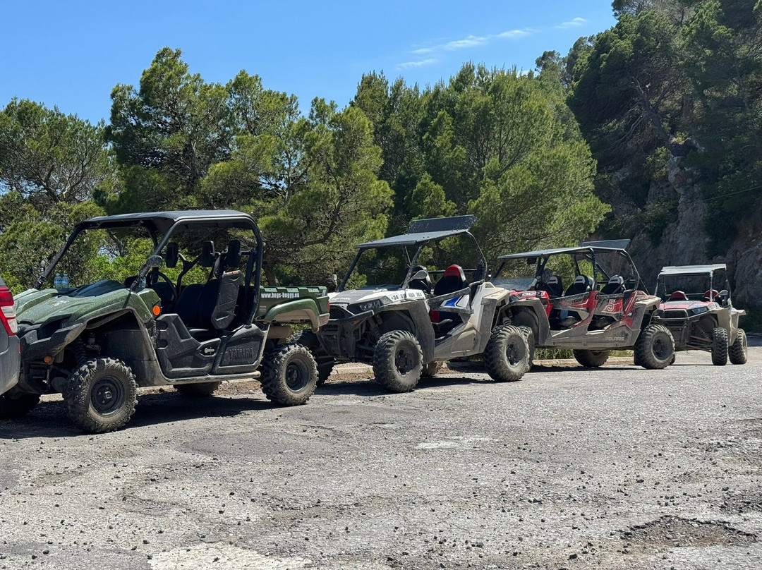 Bugs Buggy Mallorca Adventure-Cala Ratjada必去景点