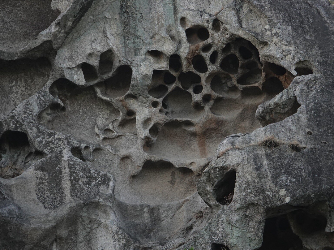 Hiking & Trekking Company Mount Abu景点图片