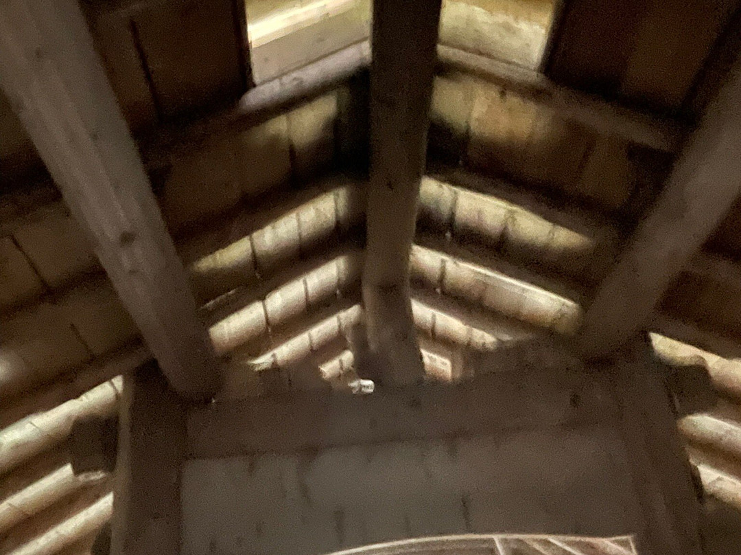 The Viking Longhouse景点图片