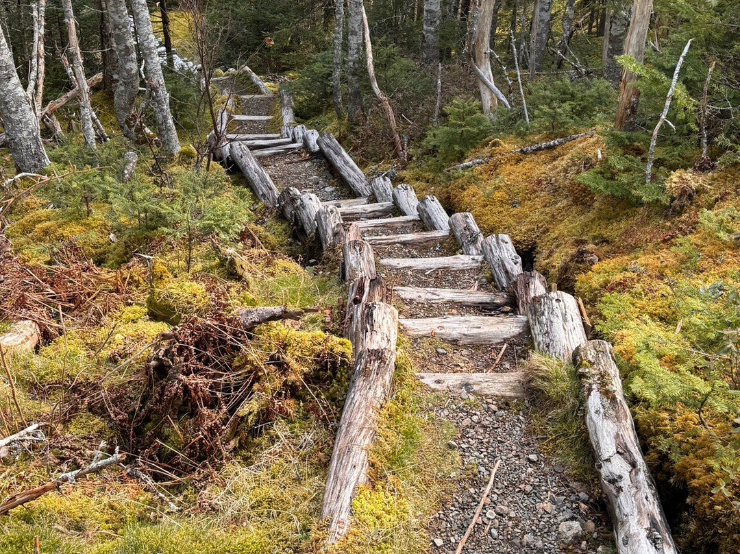 Rosewood Suites at Trinity主图