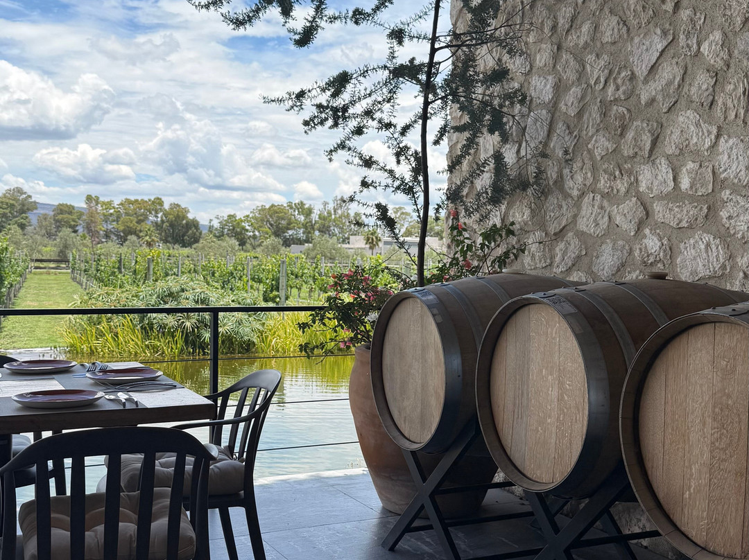 Vinedos San Francisco主图