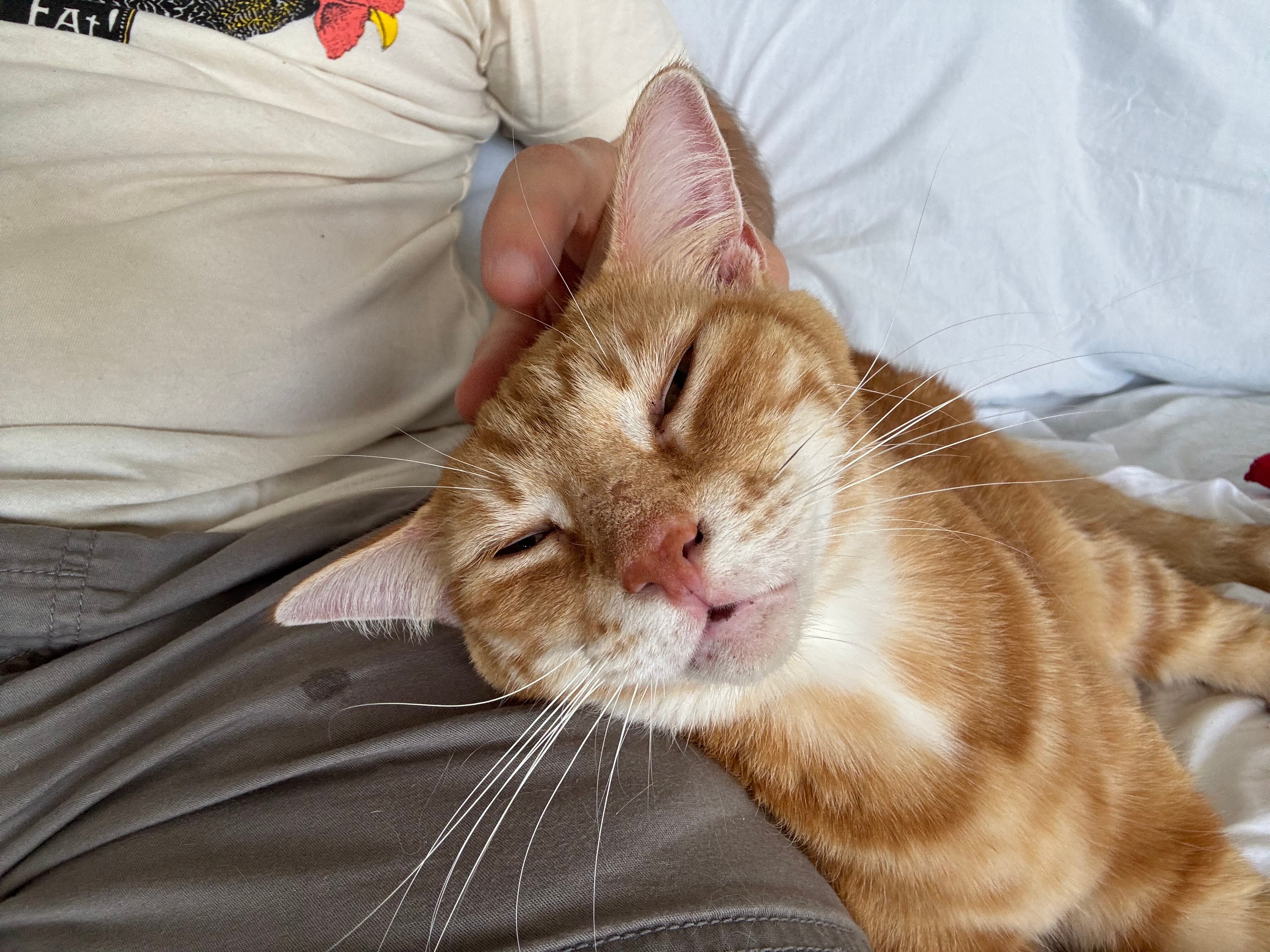 Deer Run on The Atlantic-官方