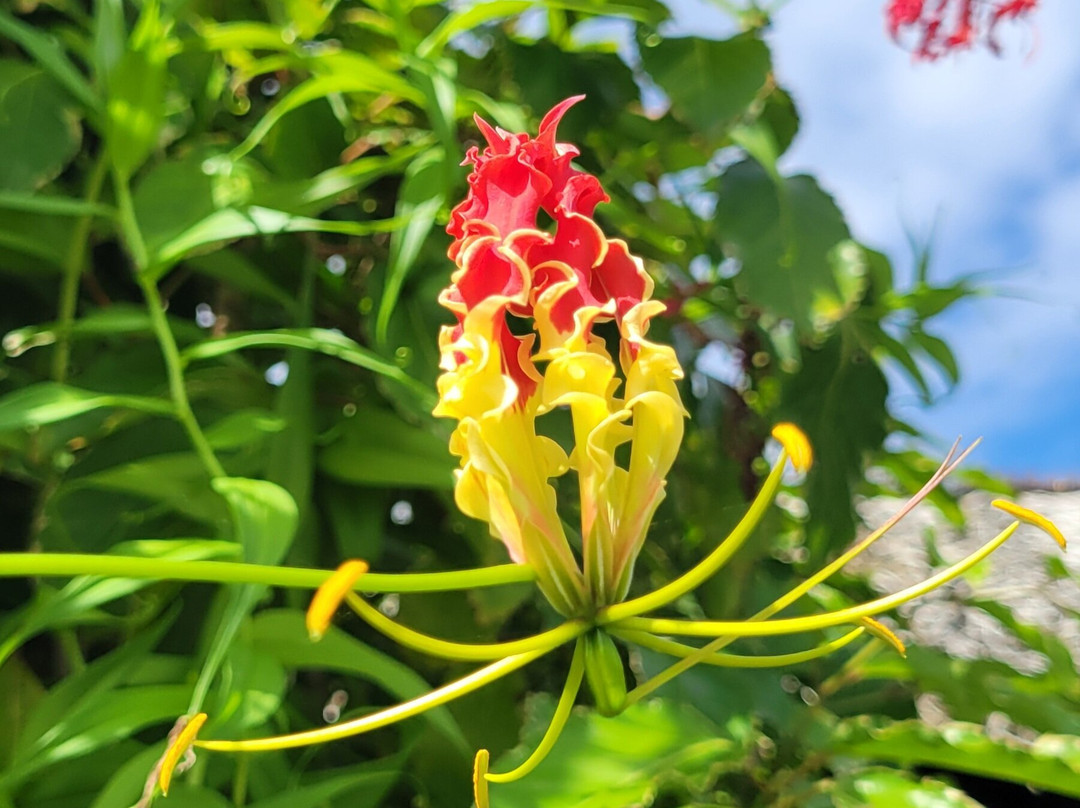 The Breakers Cocos主图