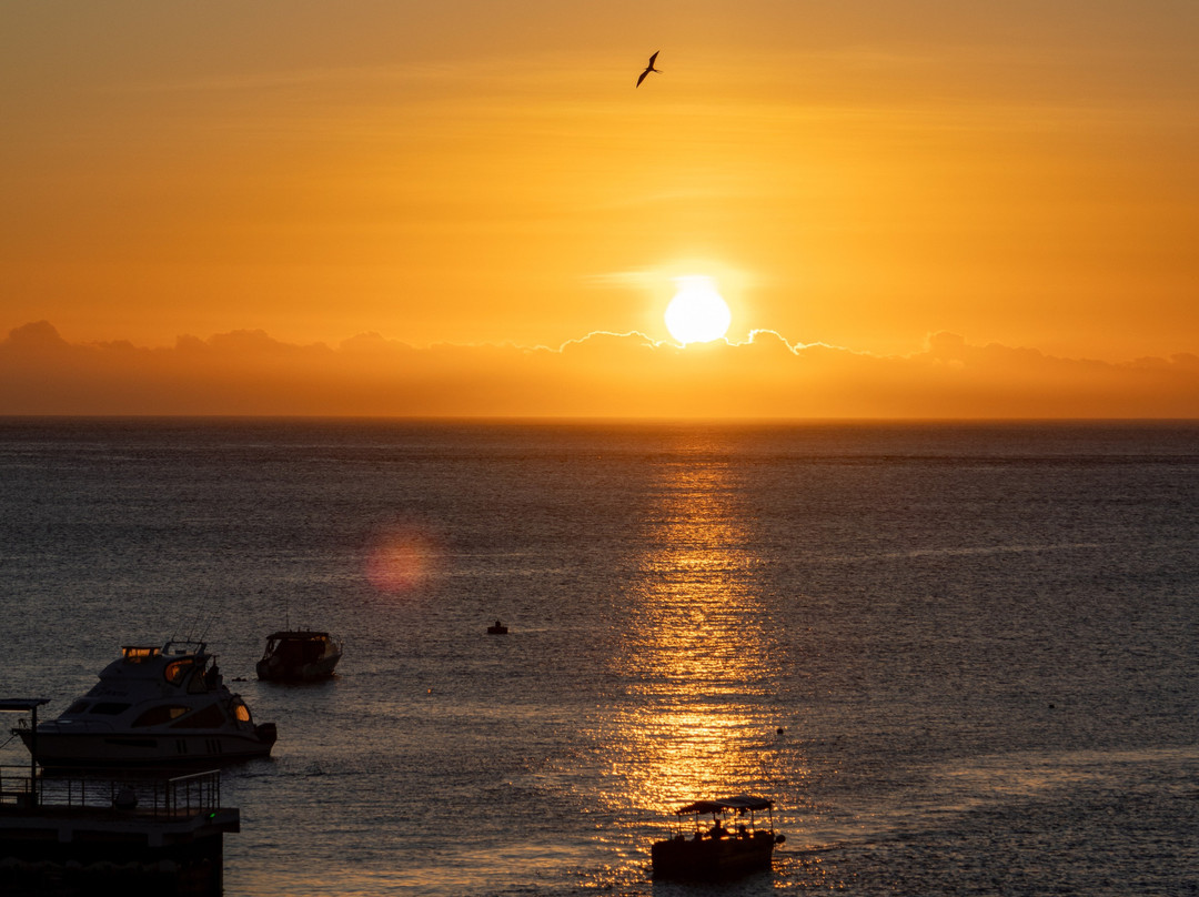 Galapagos Sunset Hotel主图