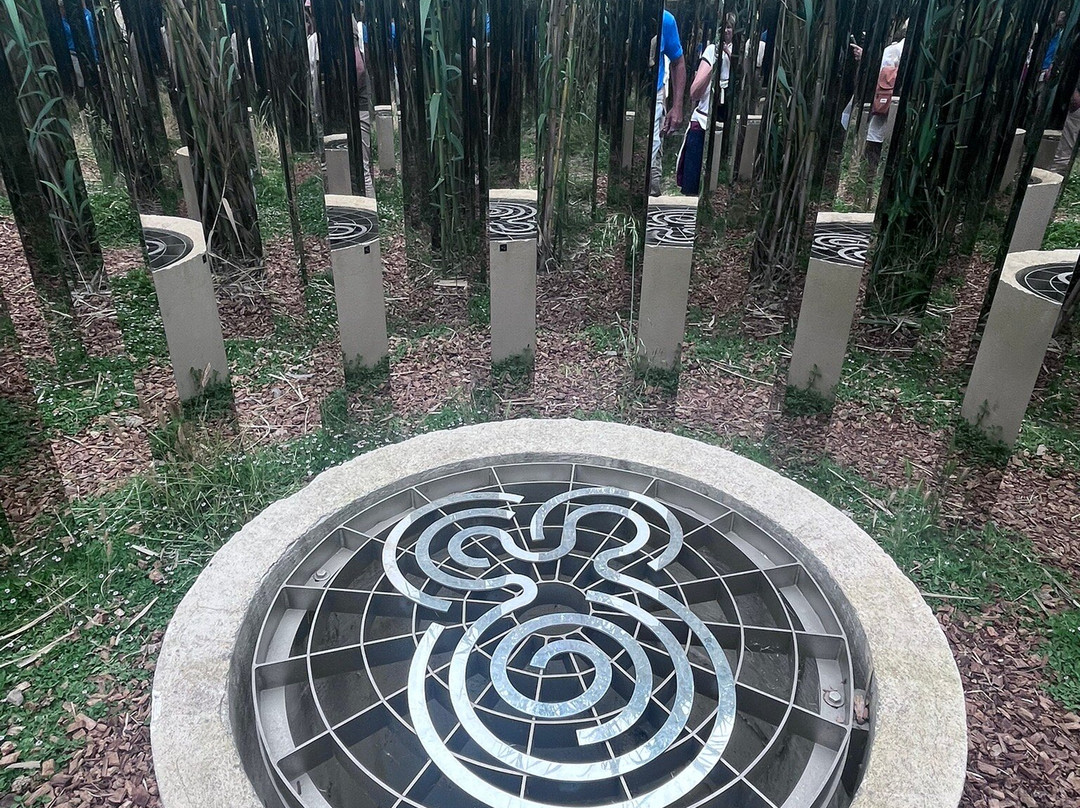 Fondation Carmignac景点图片
