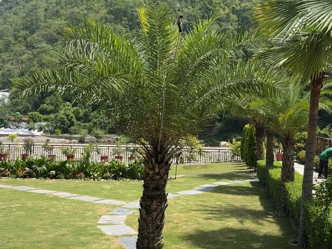 juSTa Rasa Retreat & Spa Rishikesh主图