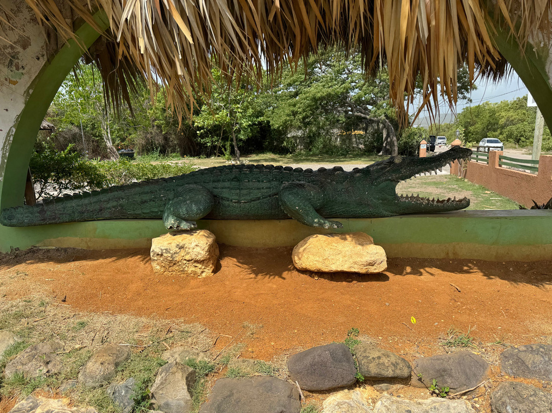 Jamaica Swamp Safari Village-法尔茅斯必去景点