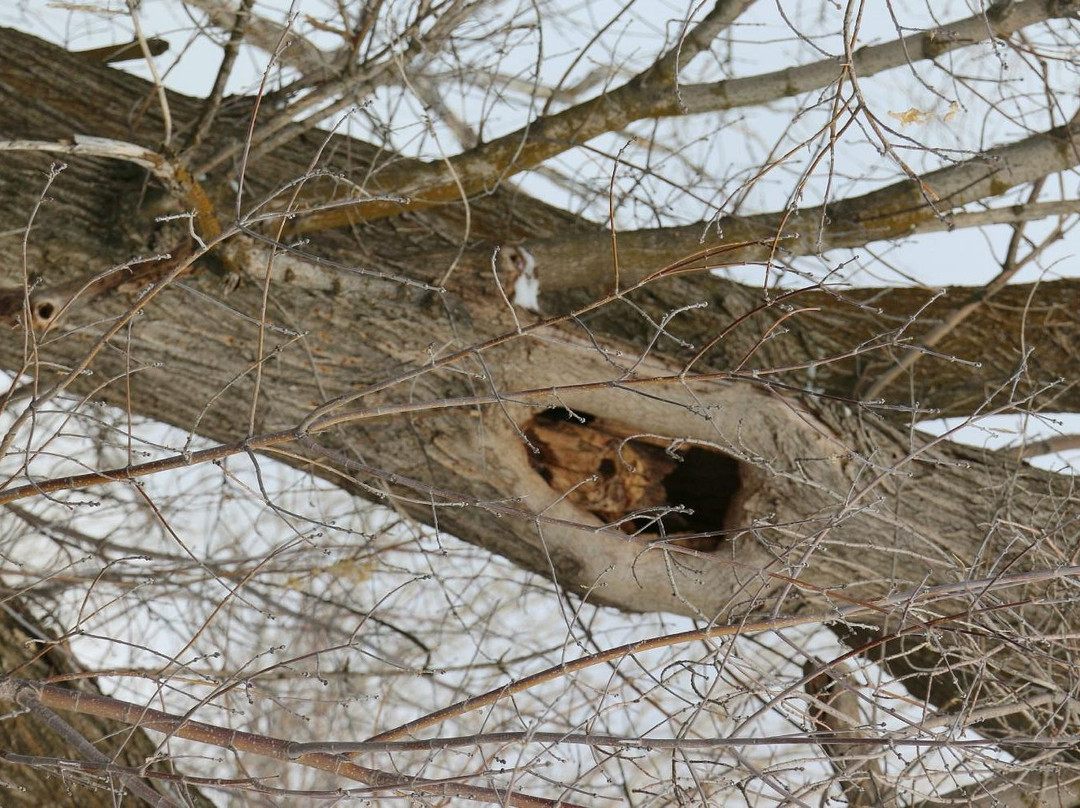Ogden Nature Center-奥格登必去景点
