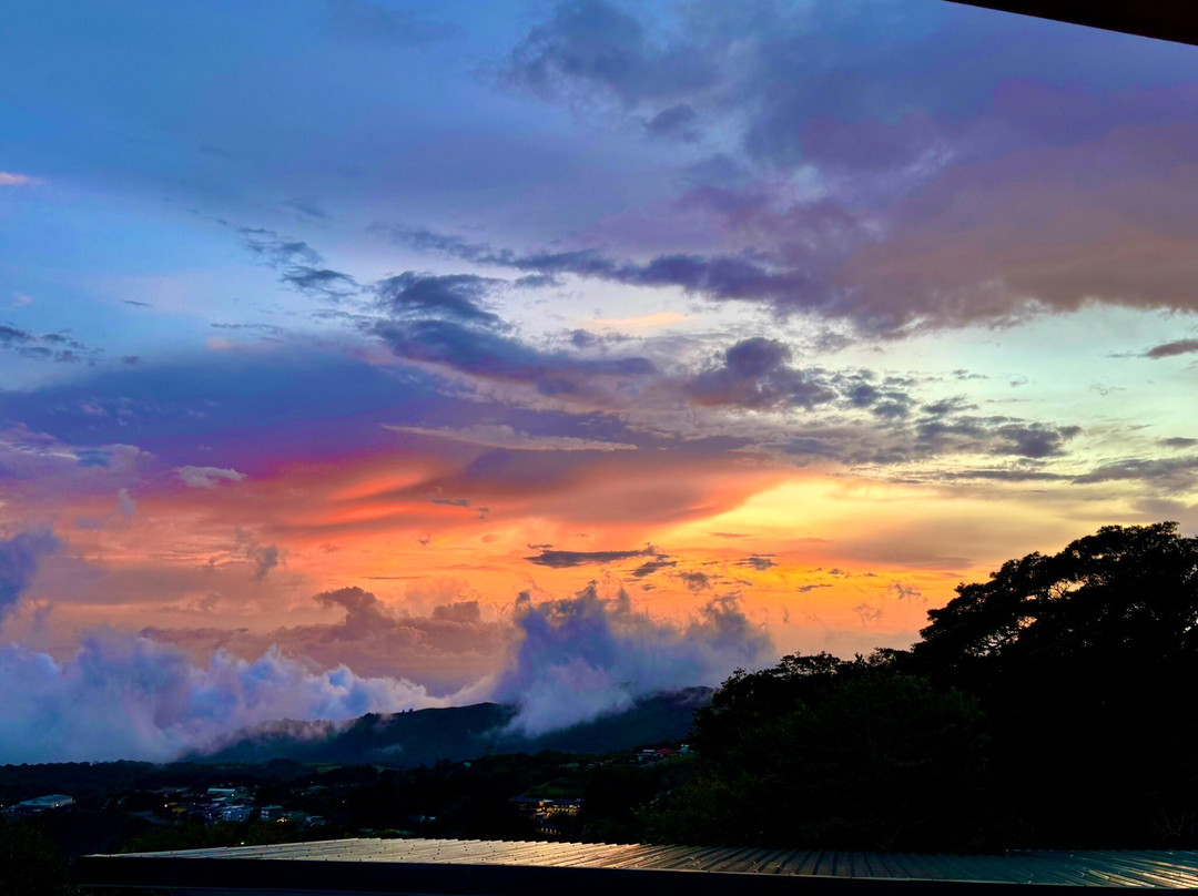 Ocotea Boutique Hotel