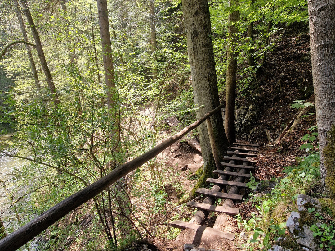 Slovak Paradise National Park-斯皮什新村必去景点