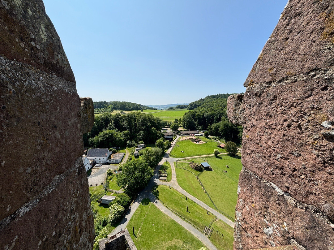 Adler und Wolfspark-Pelm必去景点