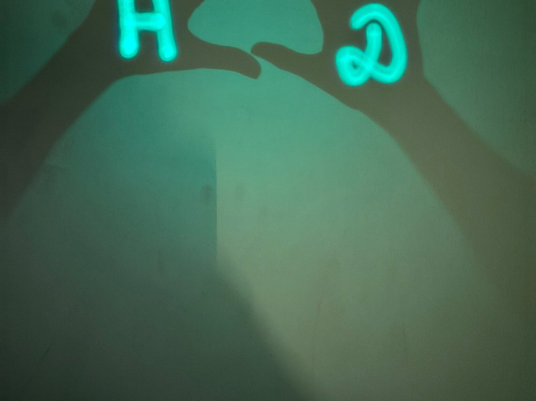 Museum of illusions Veliko Tarnovo-大特尔诺沃必去景点