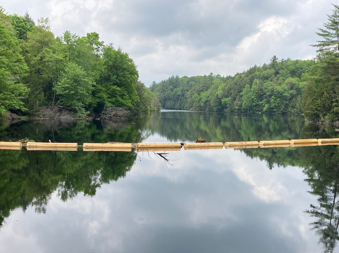 Hawk Lake Log Chute景点图片