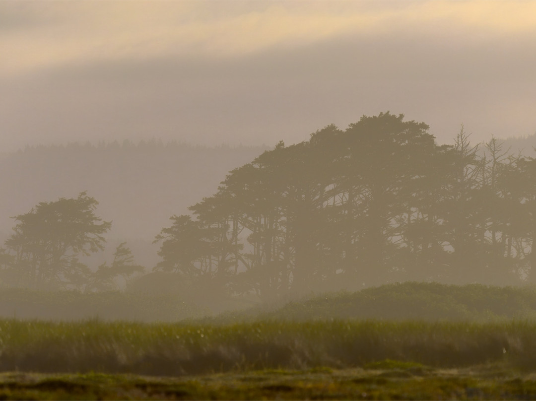 Floras Lake House Bed & Breakfast主图