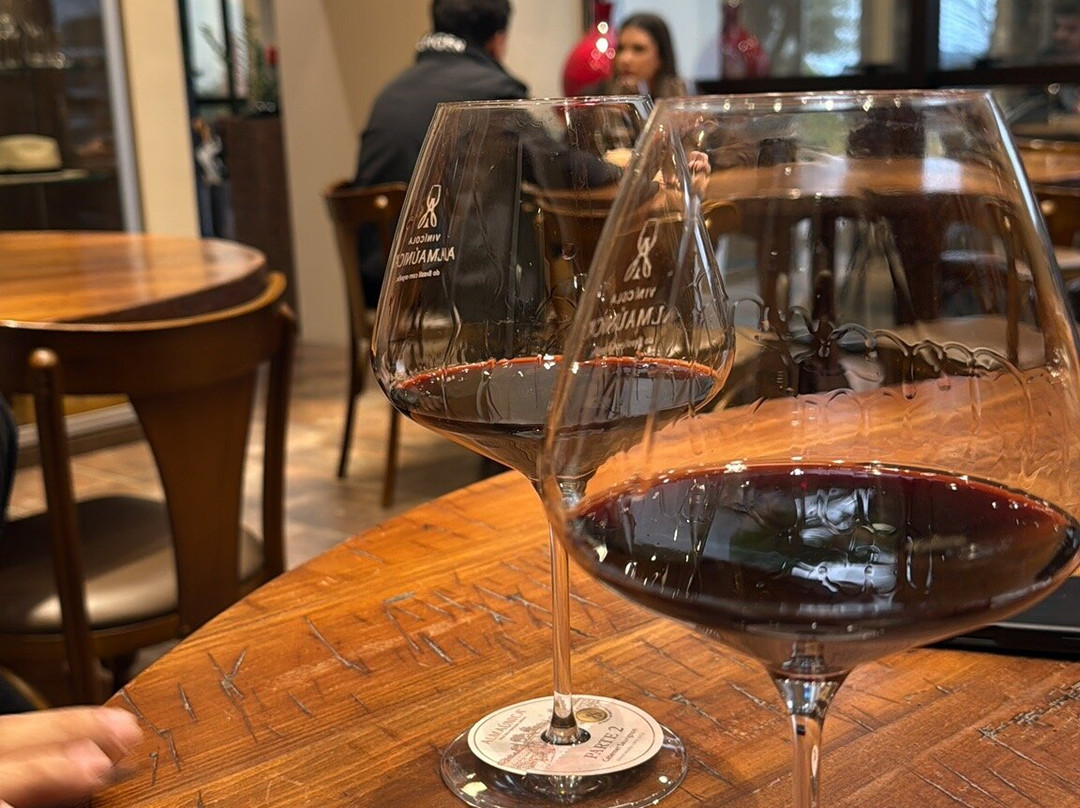 Almaunica Winerie景点图片