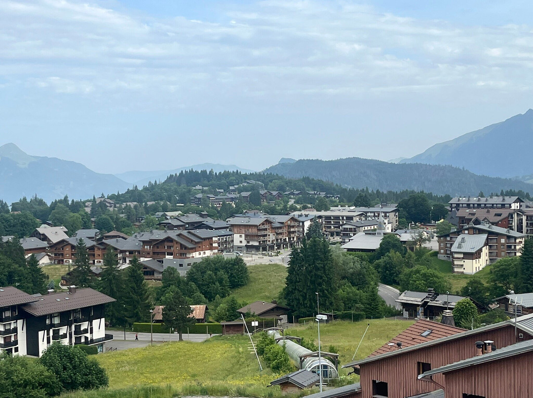 德凡坎西斯莱斯夫露康斯福特小村酒店主图