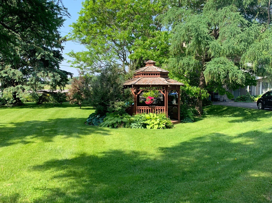 Stratford Suburban Motel主图