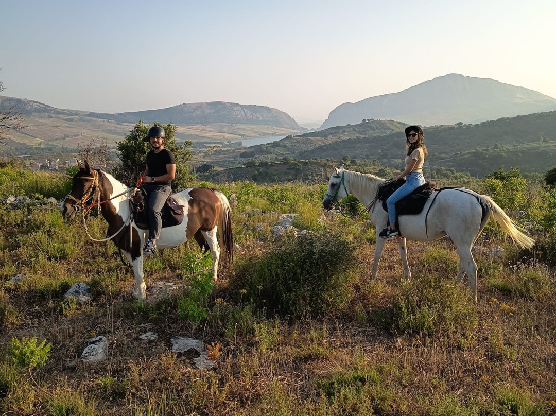 Horse Trekking Sicily景点图片