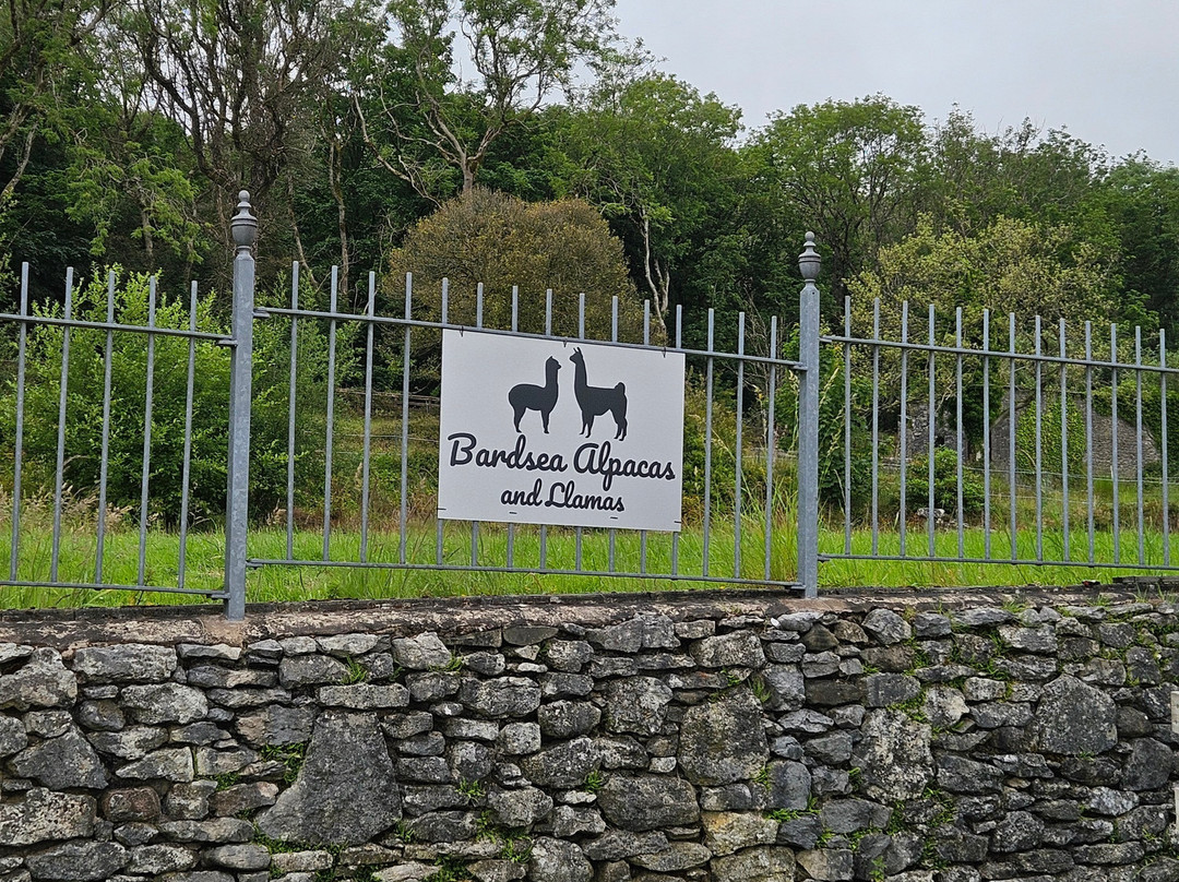 Bardsea Alpacas And Llamas景点图片
