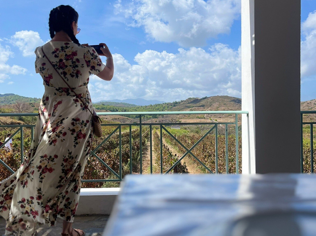 Estate Anastasia Triantafillou-Paradisi必去景点