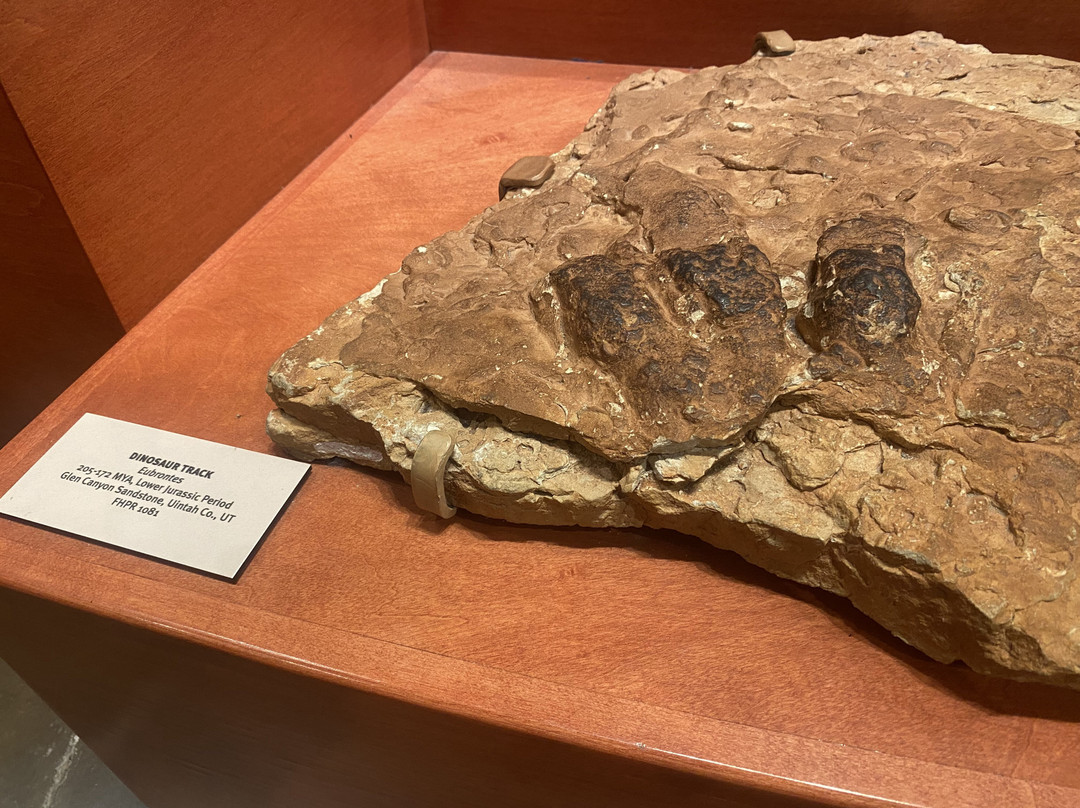 Utah Field House Of Natural History State Park Museum-Vernal必去景点