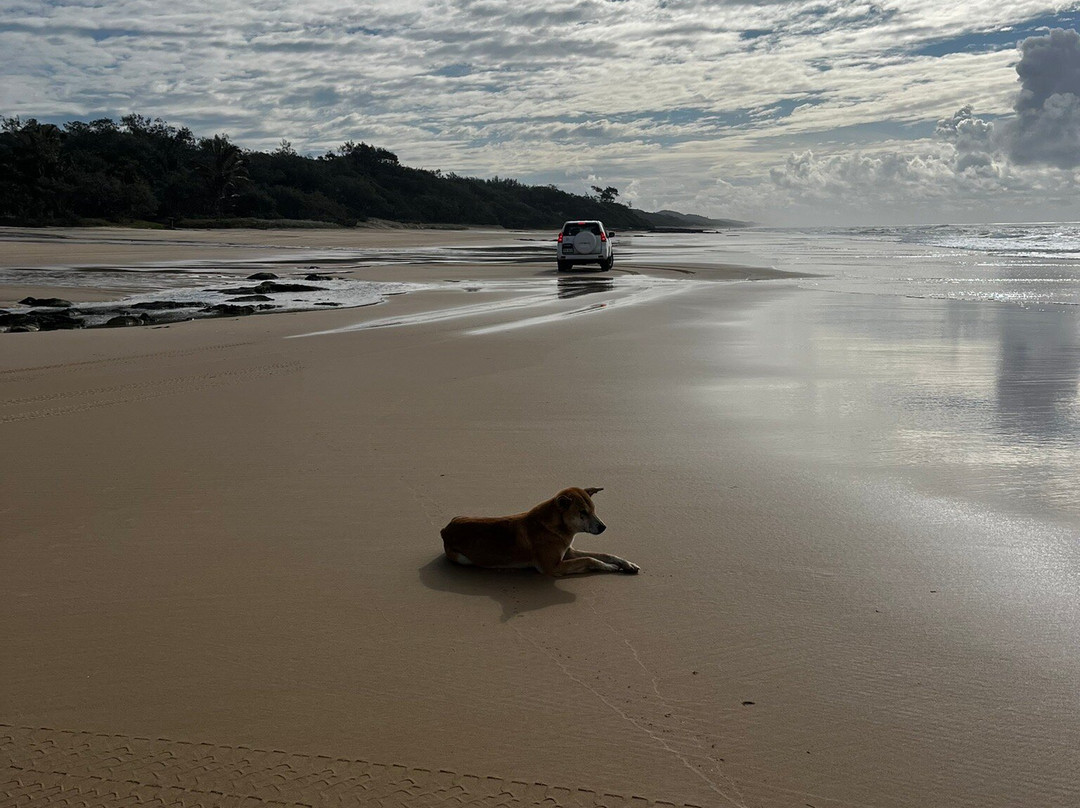 K'gari Explorer Tours-弗雷泽岛必去景点