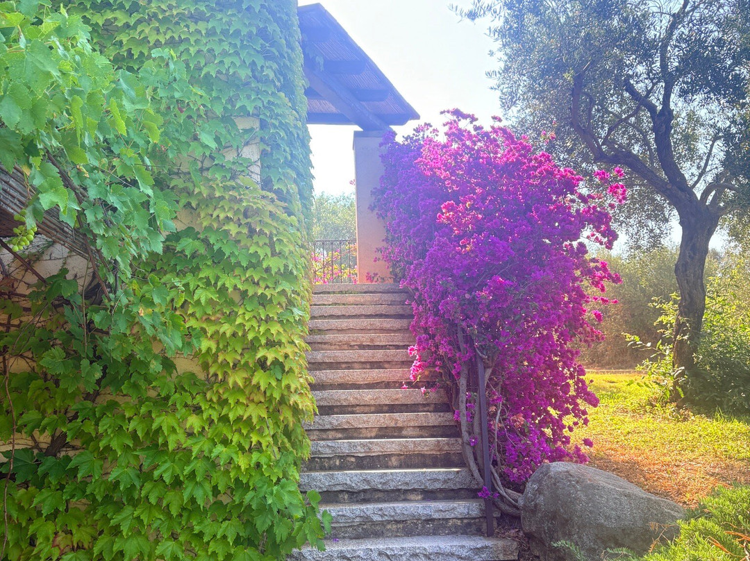 Hotel Rurale S'Abba e Sa Murta主图