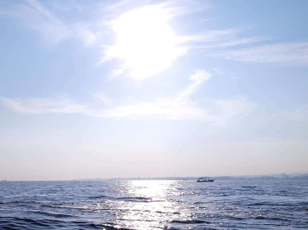 Tiket boat dolphin lovina-罗威那海滩必去景点