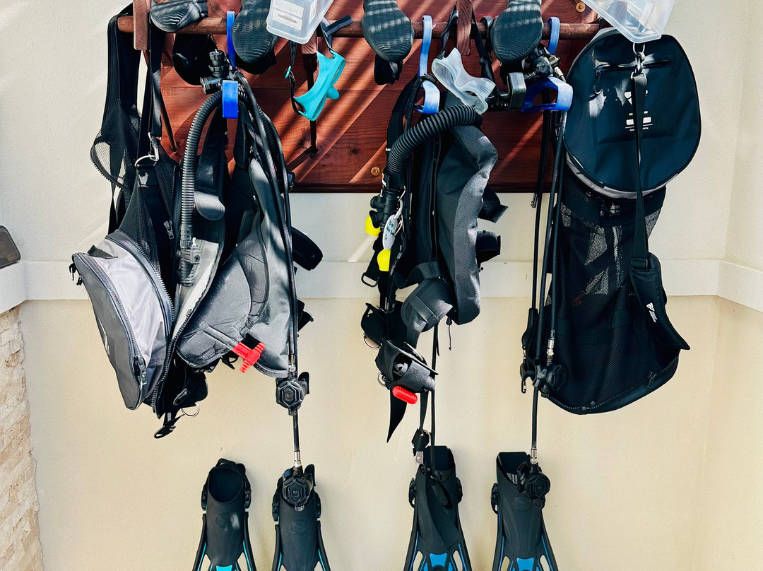 Living The Dream Divers-七哩滩必去景点