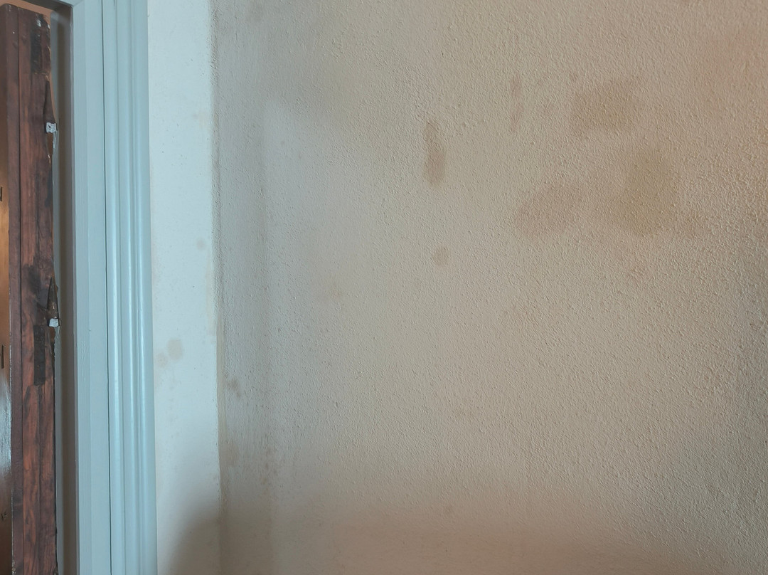 La Pileta - Grupo Califa