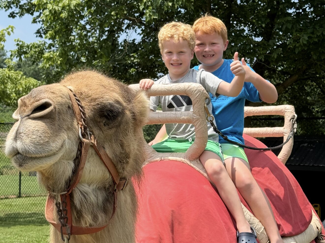 Nova Wild-维也纳必去景点