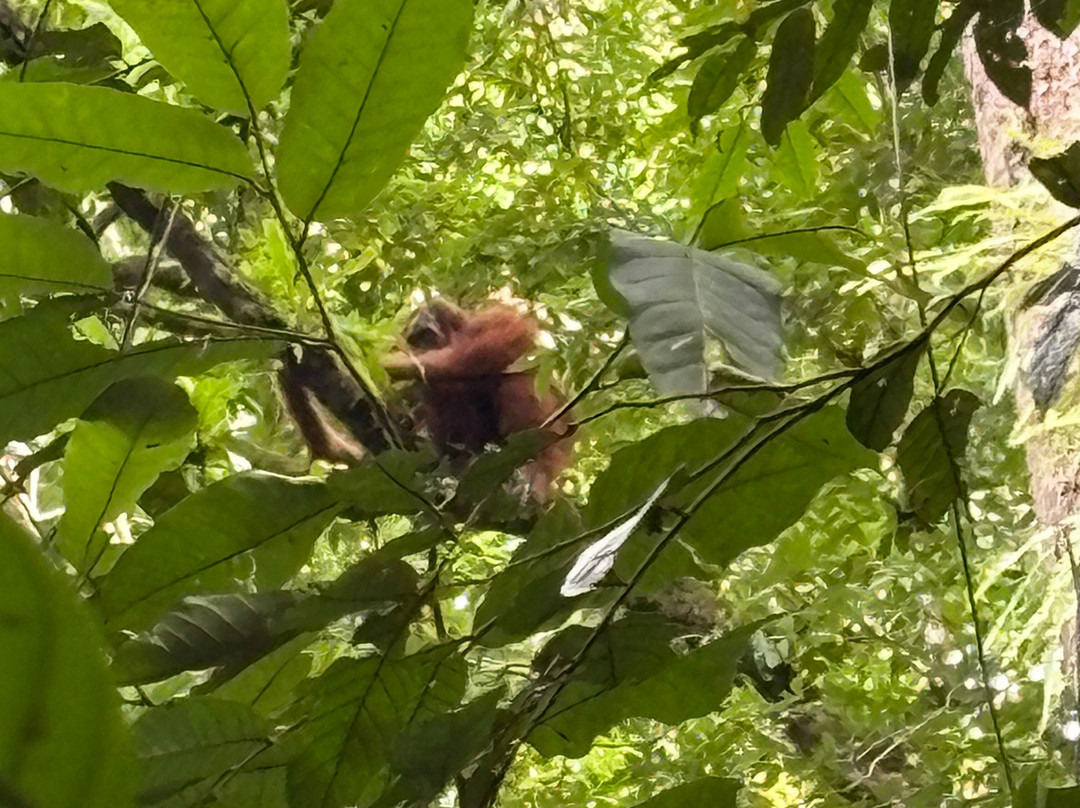 Friendship Guesthouse & Restaurant主图