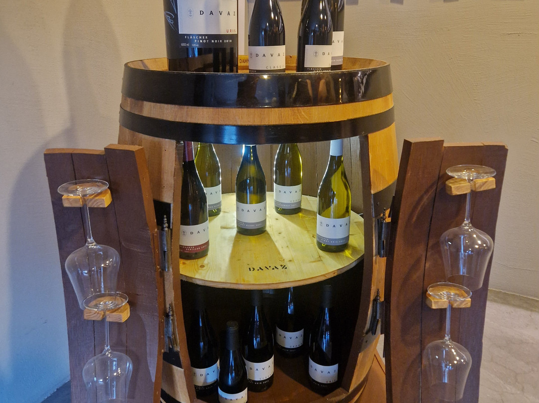 Wine Tours Switzerland-Maienfeld必去景点