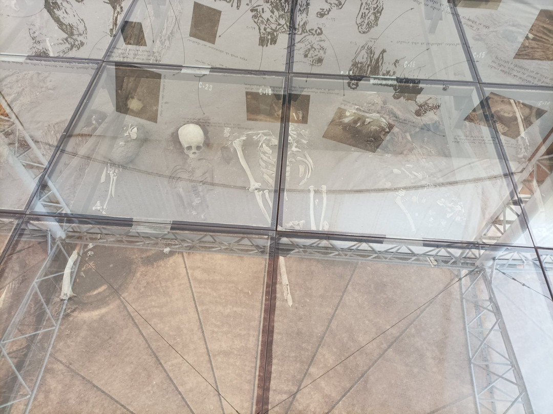 Museo De Sitio Colon 10-阿里卡必去景点