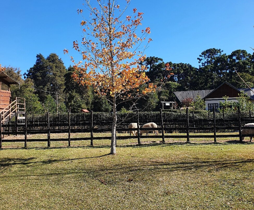 Parque da Lagoinha-坎普斯－杜若尔当必去景点