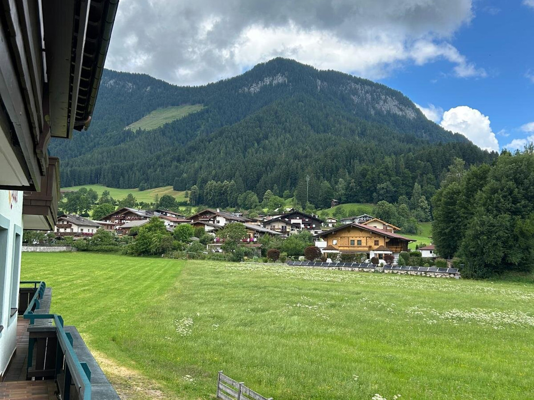 Hotel Tyrol am Wilden Kaiser主图