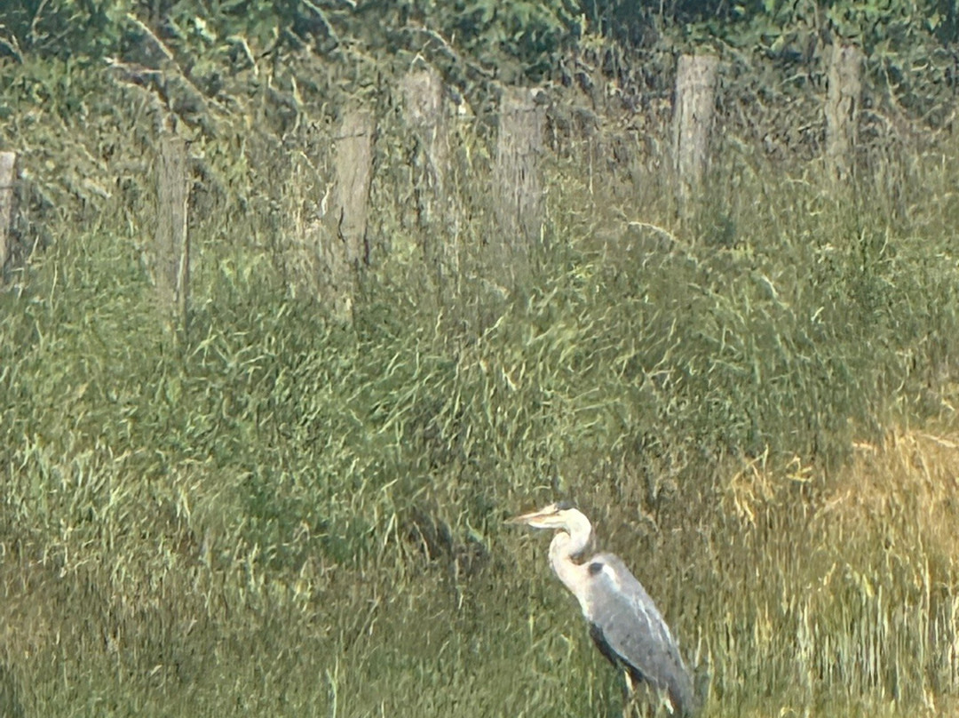 Druridge Bay Country Park & Visitor Centre-莫佩思必去景点