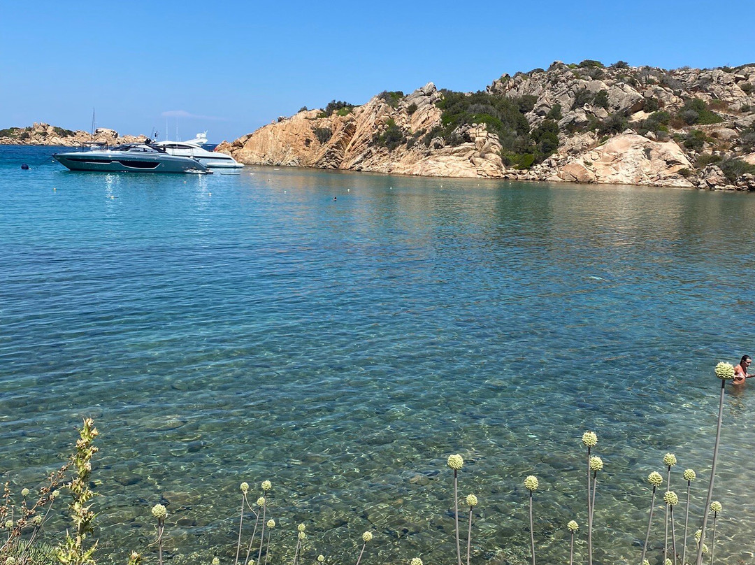 Spiaggia di Cala Spalmatore-拉马达莱娜必去景点
