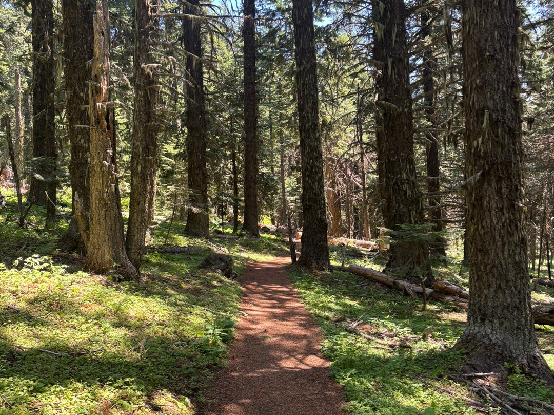 Grizzly Peak Trail-阿什兰必去景点