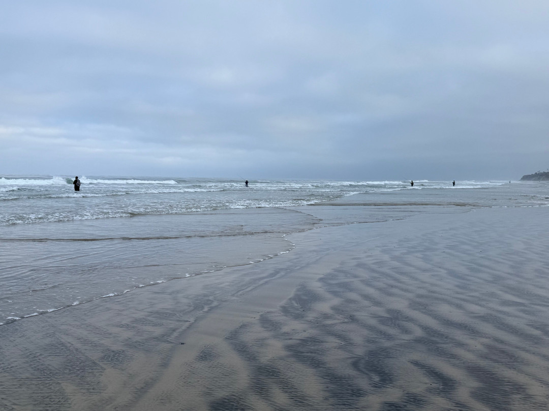 Torrey Pines State Beach-圣地亚哥必去景点