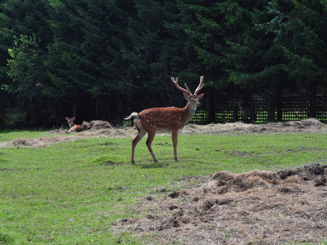 Koporye Eco-Trail-Balakhna必去景点