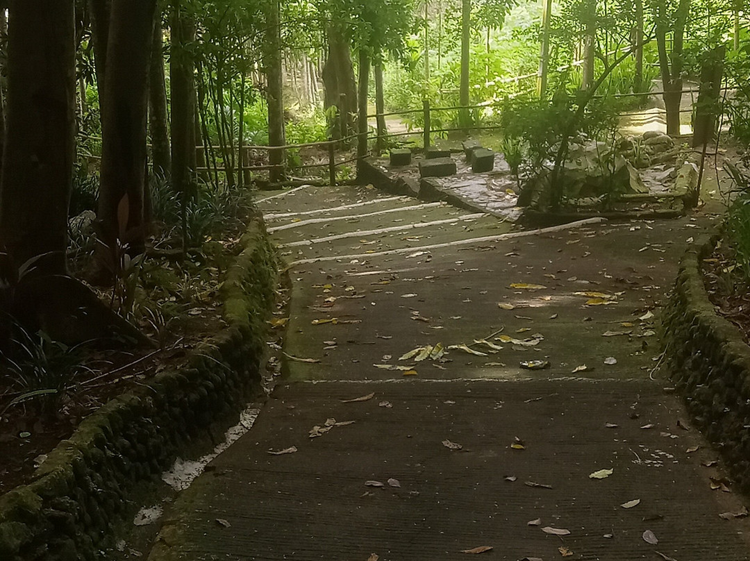 Kawa-Kawa Hill and Natural Park-Ligao必去景点