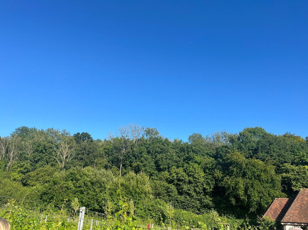 Wiston Estate-Washington必去景点