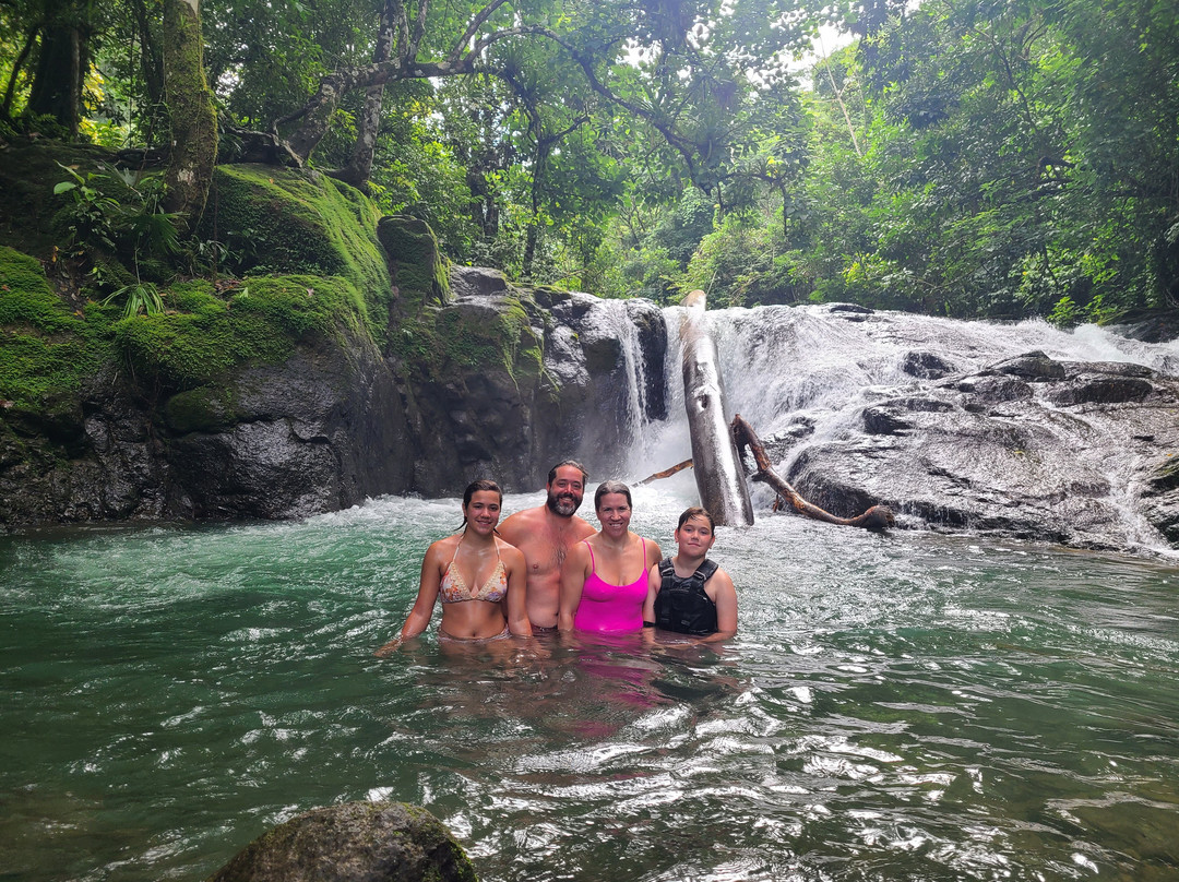 Tropical Waterfalls Tour